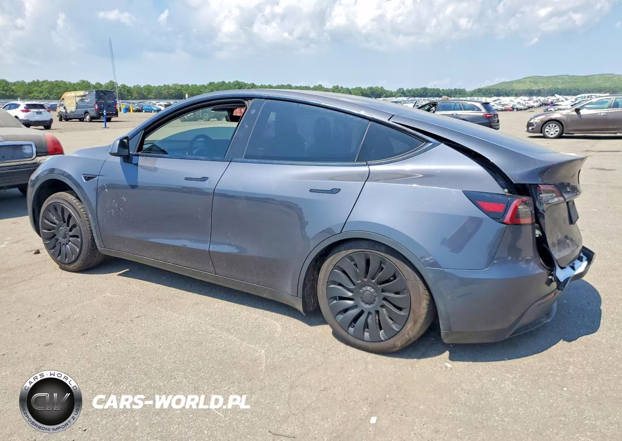 2021 Tesla Model Y VIN:5YJYGDEEXMF203821 - 2