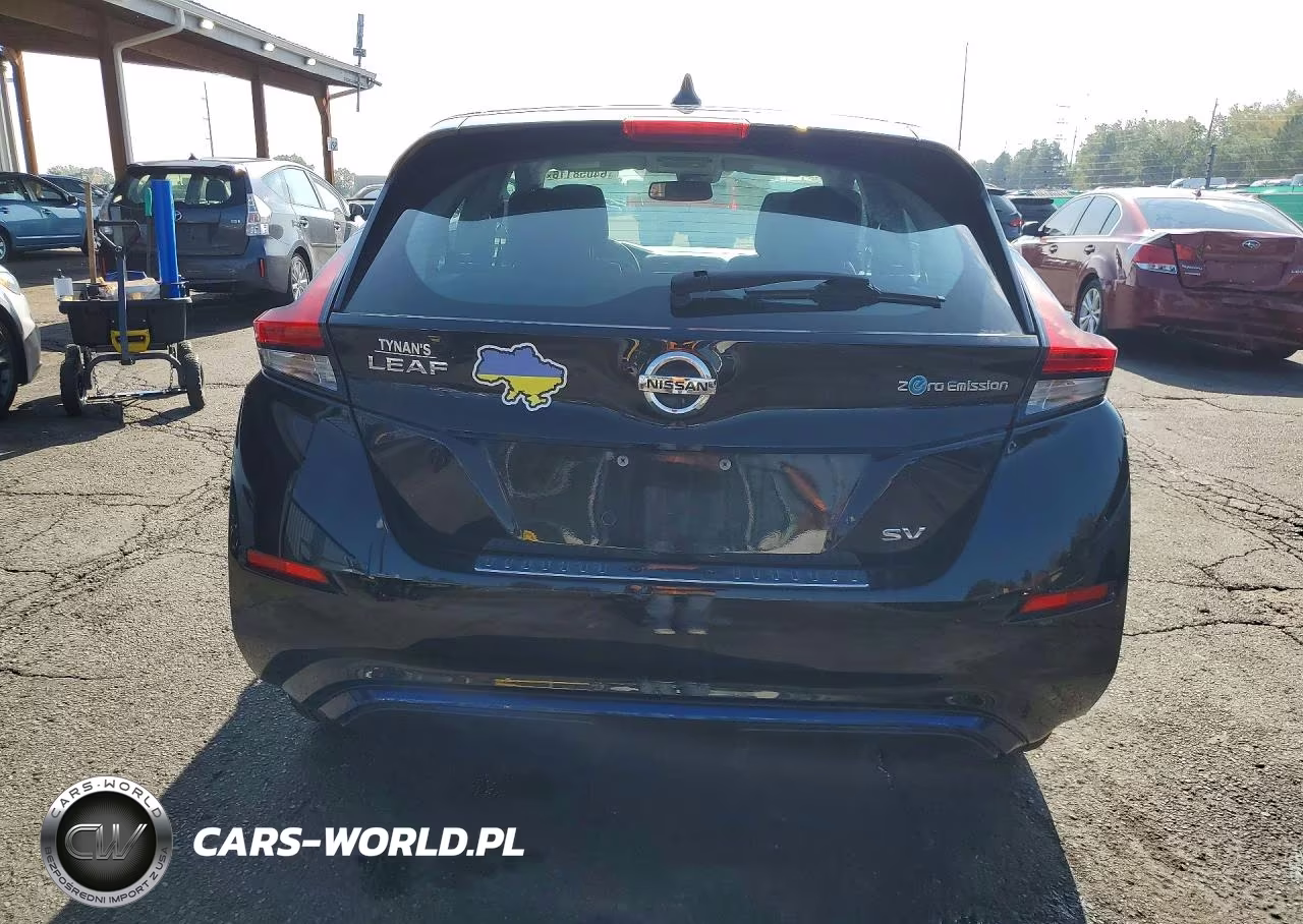 2019 Nissan Leaf Sv VIN:1N4AZ1CP1KC314658 - 6