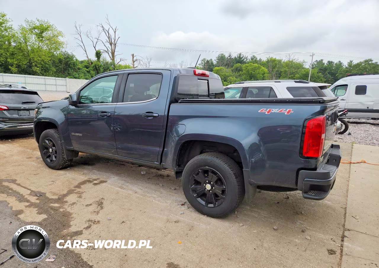 2019 Chevrolet Colorado Lt VIN:1GCGTCEN0K1187037 - 2