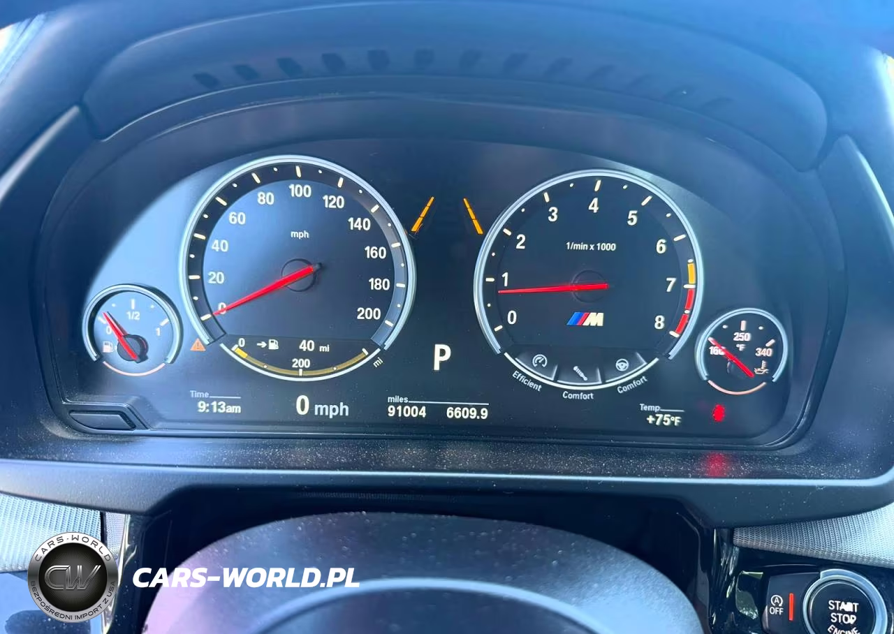2016 BMW X6 M VIN:5YMKW8C55G0R43256 - 10