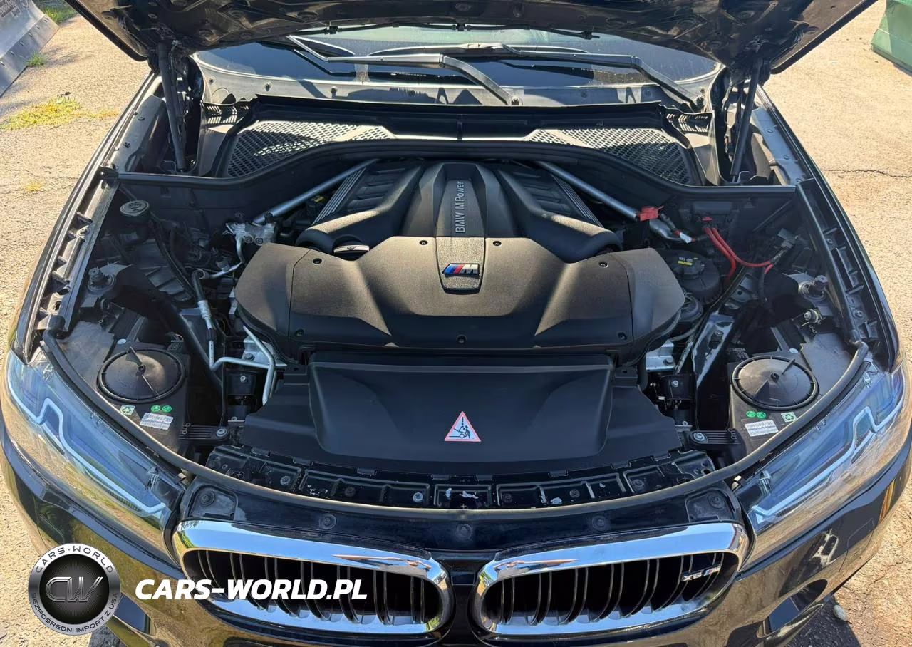 2016 BMW X6 M VIN:5YMKW8C55G0R43256 - 11