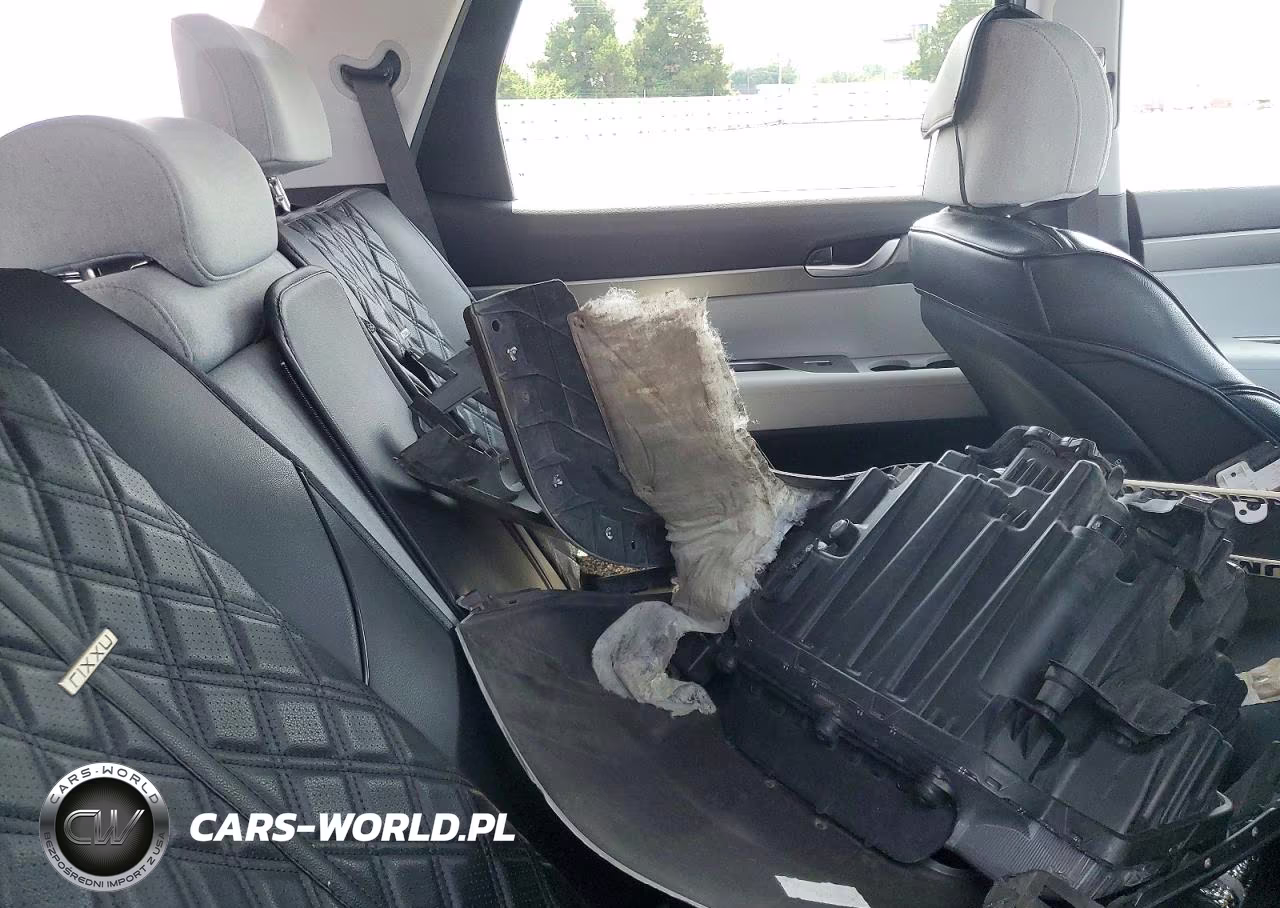 2020 Hyundai Palisade Se VIN:KM8R1DHE0LU137914 - 11