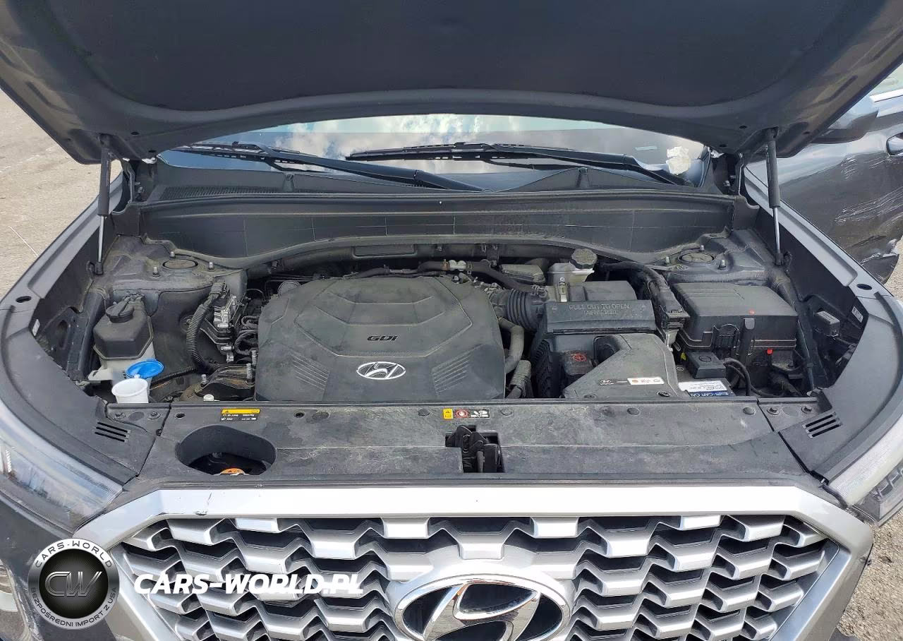 2020 Hyundai Palisade Se VIN:KM8R1DHE0LU137914 - 12