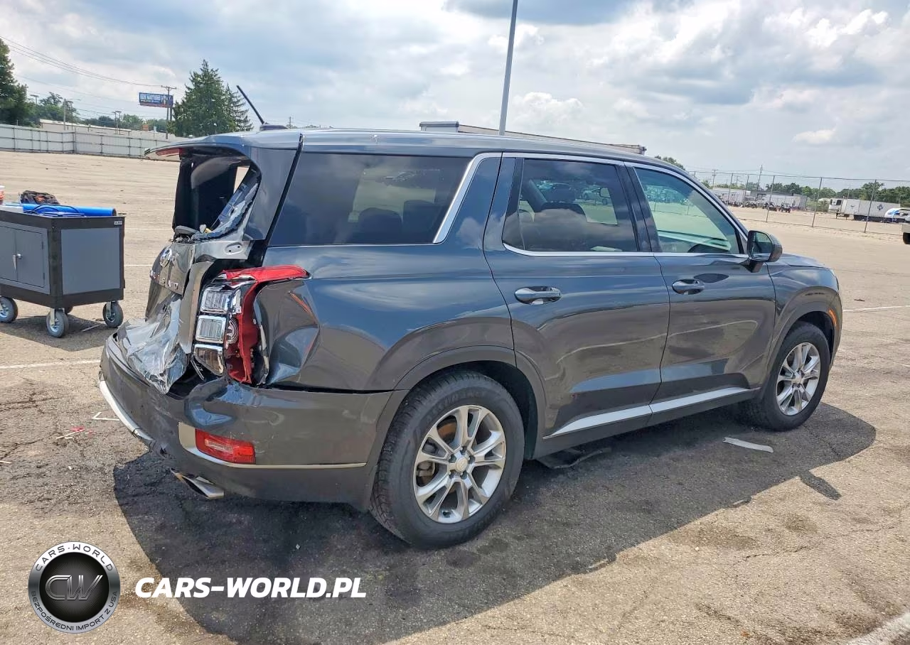 2020 Hyundai Palisade Se VIN:KM8R1DHE0LU137914 - 3