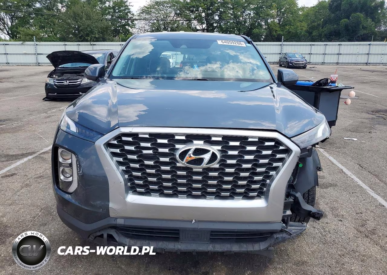 2020 Hyundai Palisade Se VIN:KM8R1DHE0LU137914 - 5