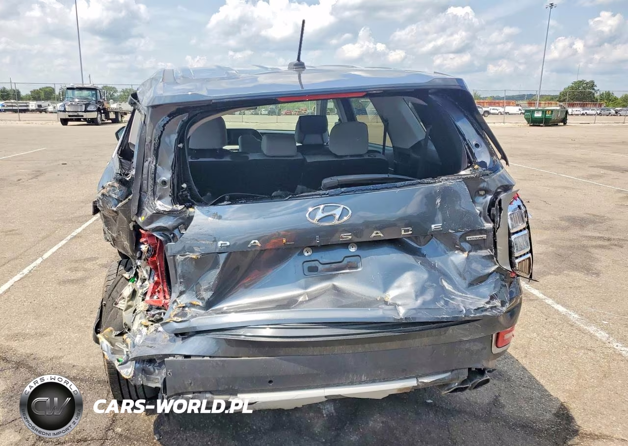2020 Hyundai Palisade Se VIN:KM8R1DHE0LU137914 - 6