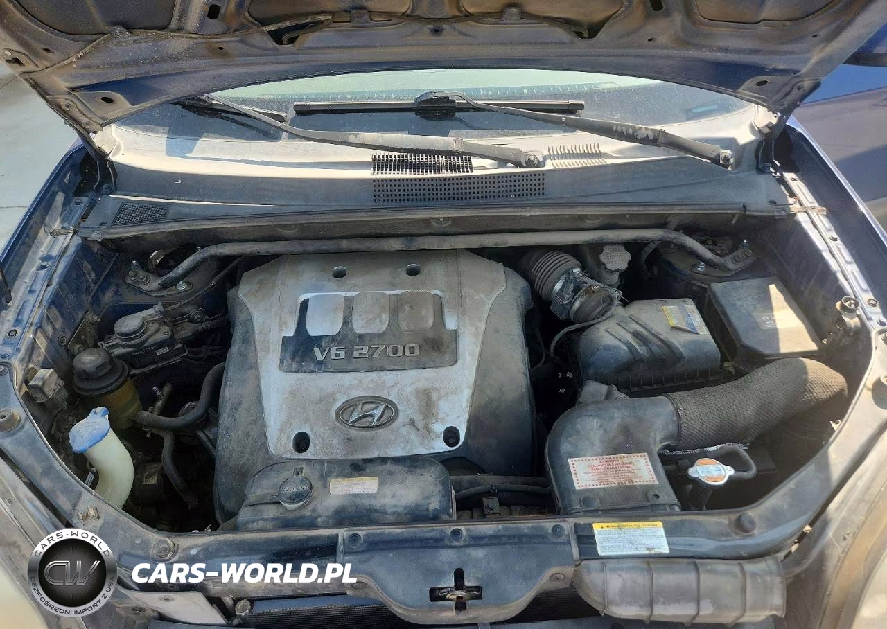 2006 Hyundai Tucson Gls VIN:KM8JN12D16U381978 - 12