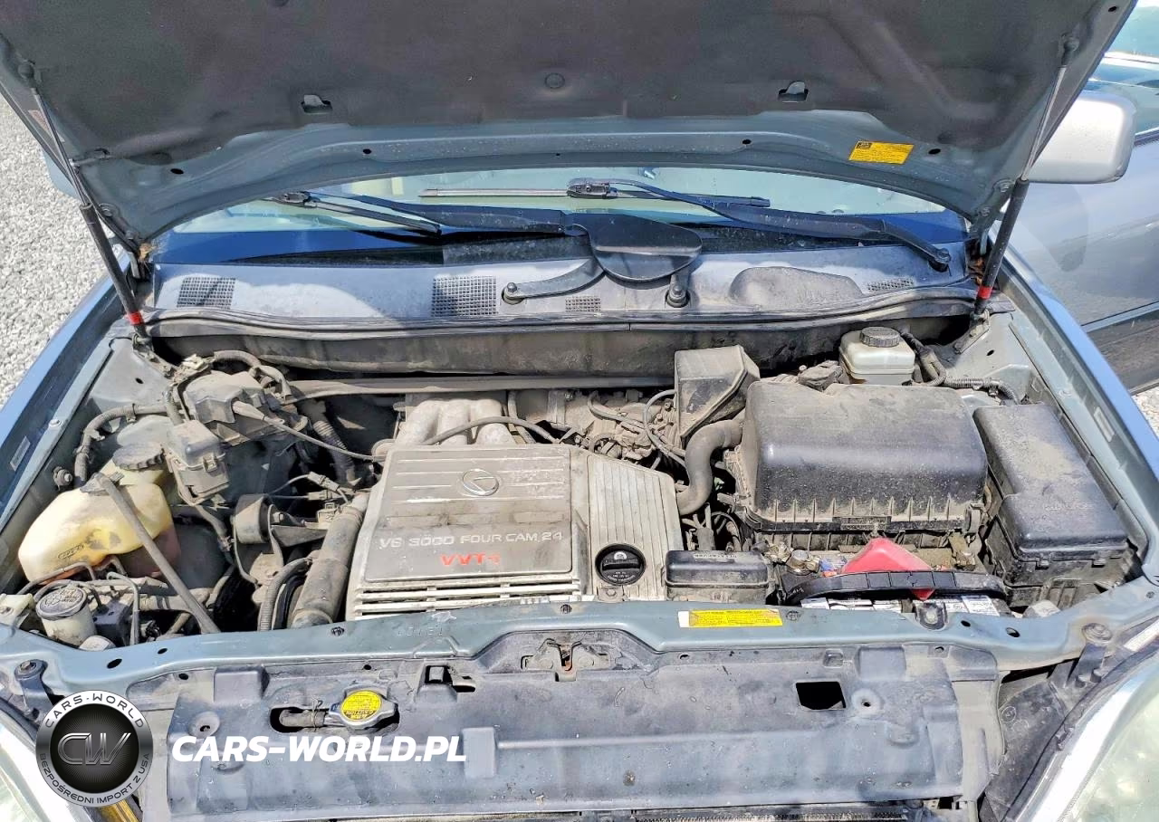 2003 Lexus Rx 300 VIN:JTJHF10U430298712 - 12