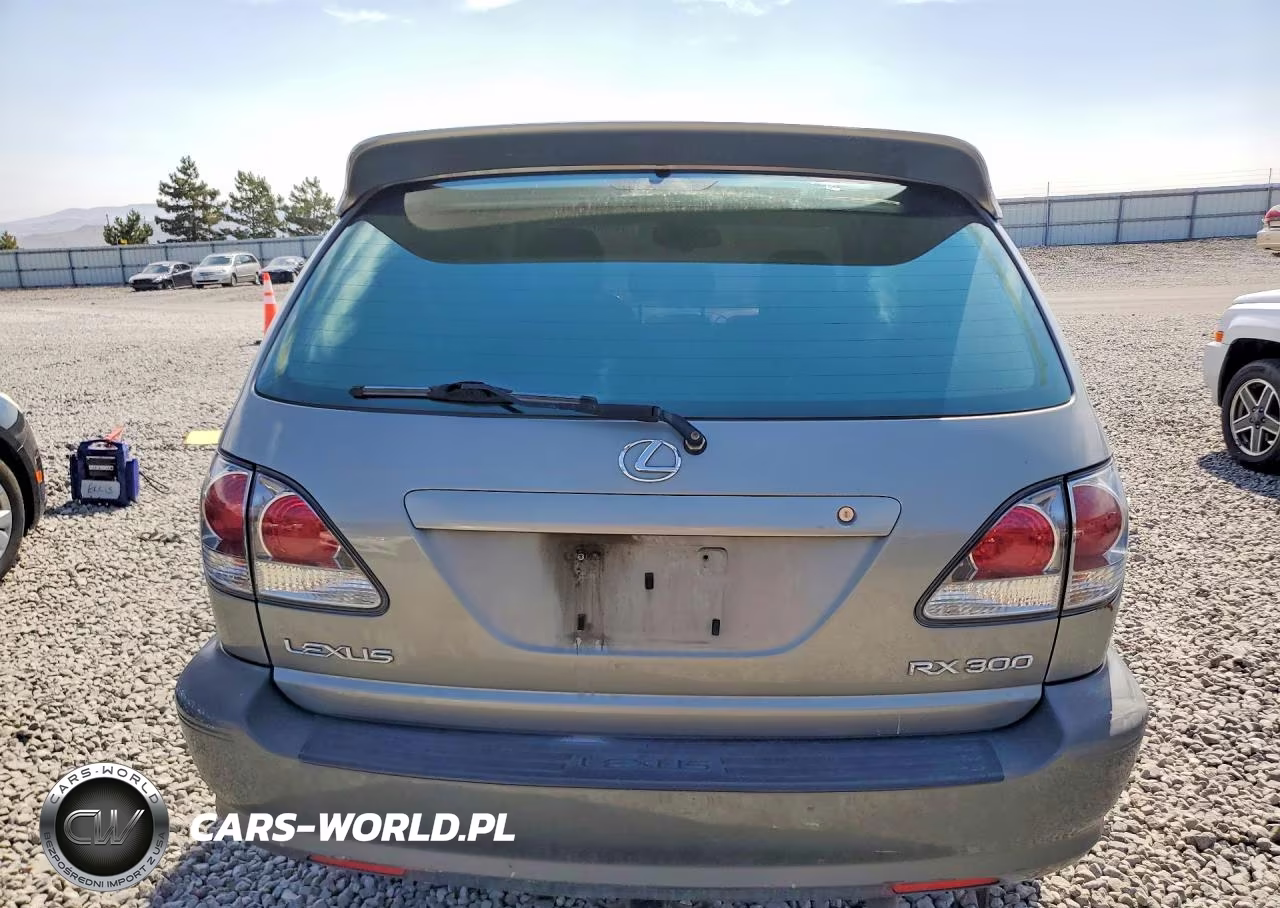 2003 Lexus Rx 300 VIN:JTJHF10U430298712 - 6