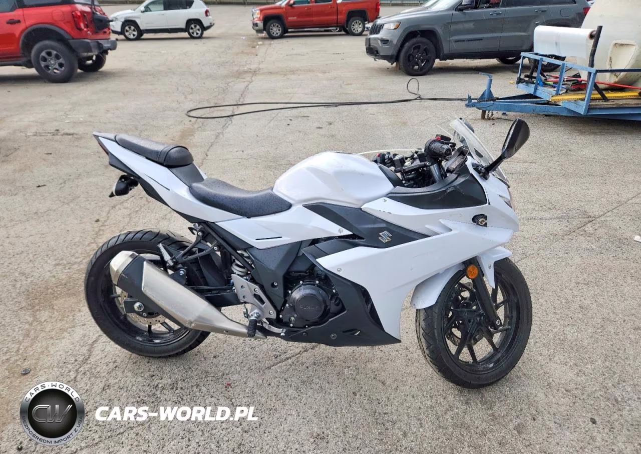 2018 Suzuki Gsx250R – zdjęcie 1 z 9
