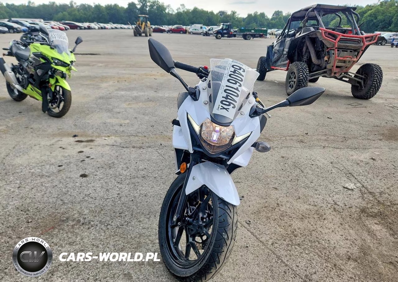 2018 Suzuki Gsx250R VIN:LC6DN11A8J1102119 - 2