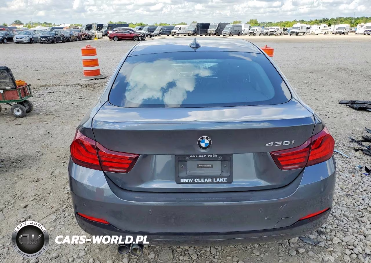 2020 BMW 430I Gran Coupe VIN:WBA4J1C03LCE16210 - 6