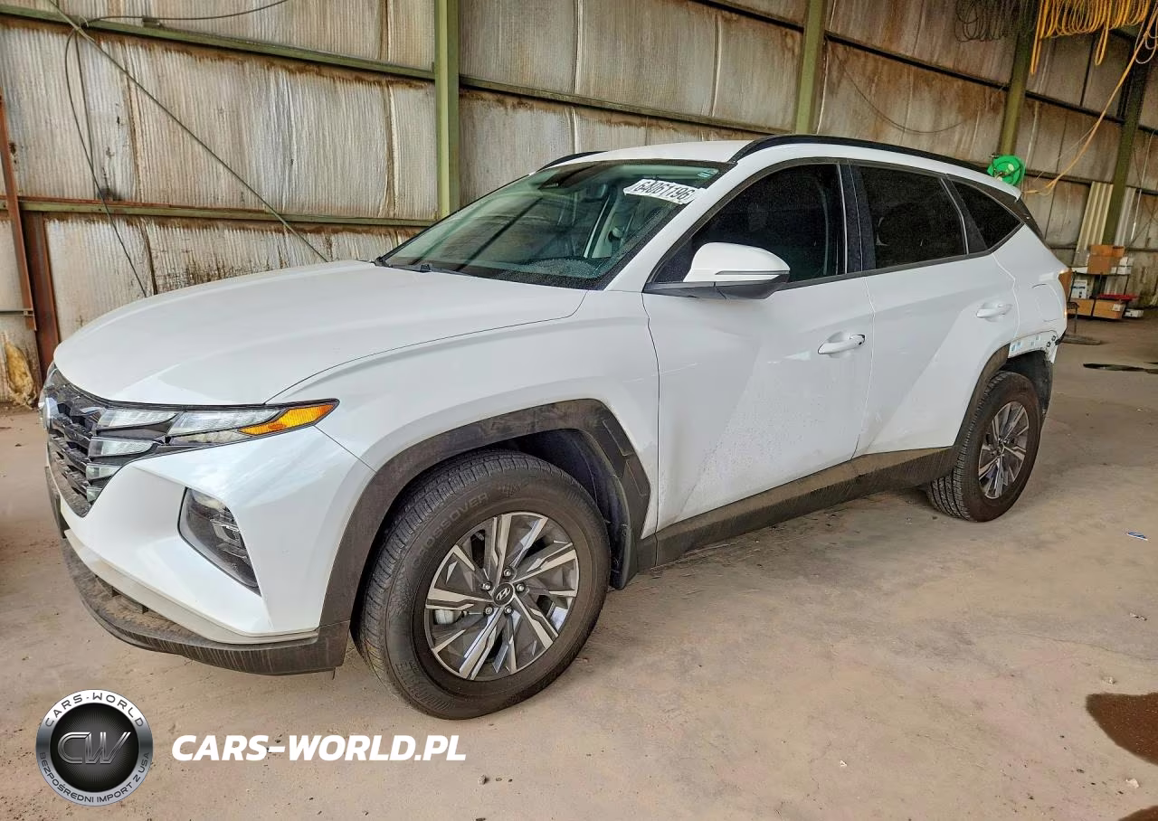 2022 Hyundai Tucson Blue