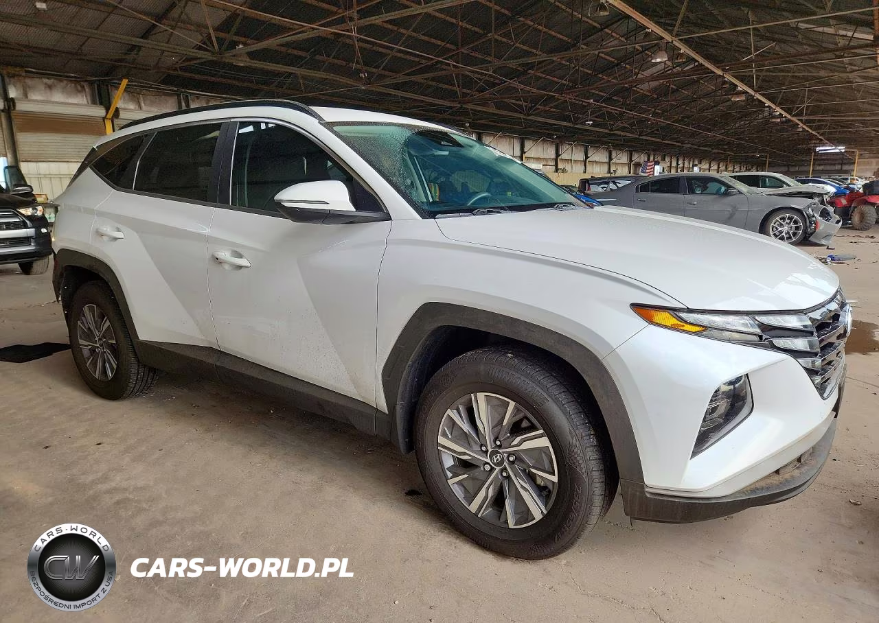 2022 Hyundai Tucson Blue VIN:KM8JBCA16NU041767 - 4