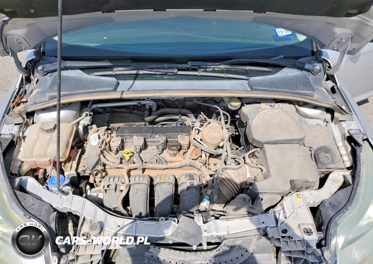 2014 Ford Focus Se VIN:1FADP3F27EL110305 - 11