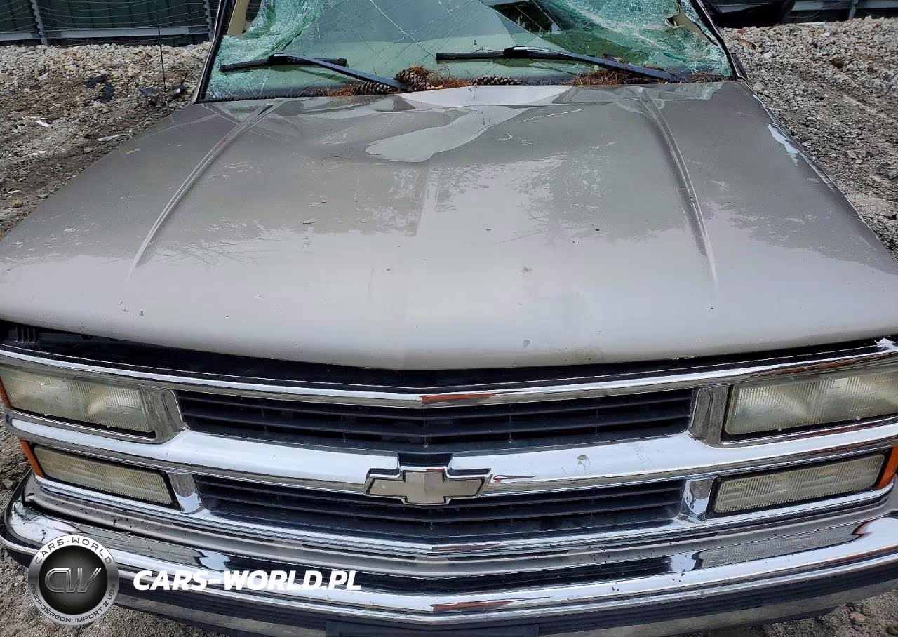 1999 Chevrolet Suburban C1500 VIN:3GNEC16R6XG119080 - 12