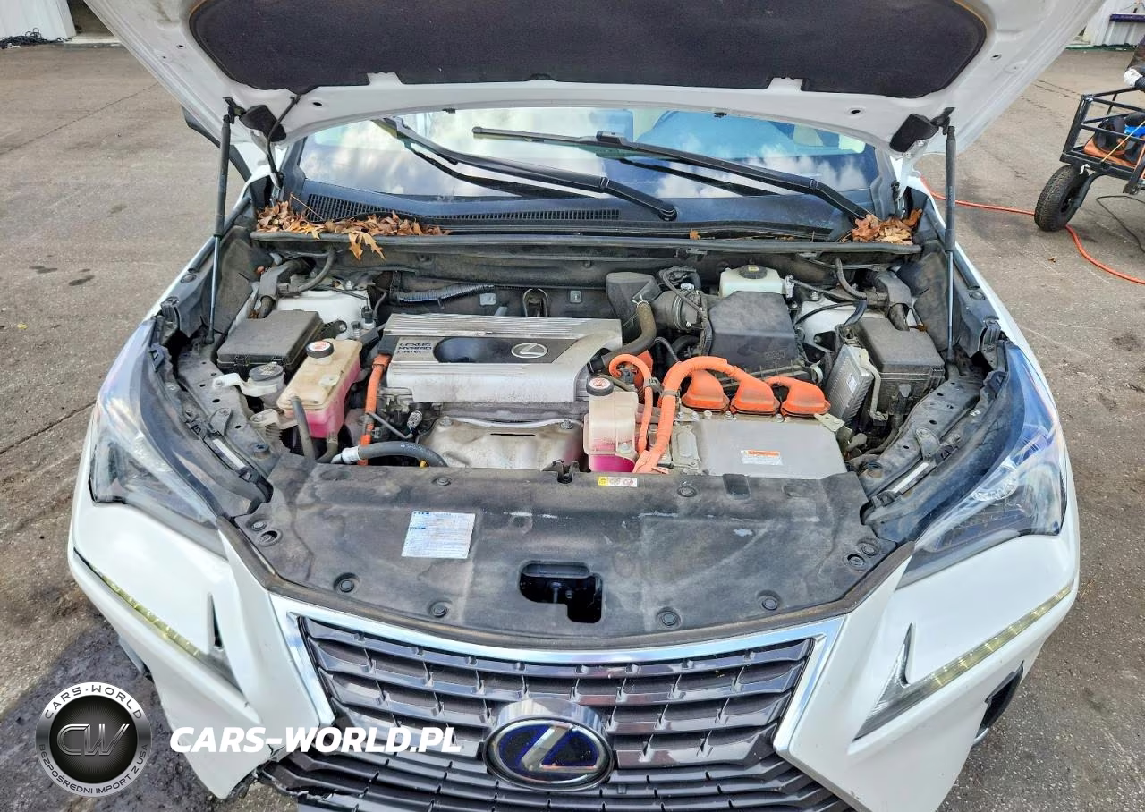 2021 Lexus Nx 300H Base VIN:JTJDJRDZ1M5013437 - 12