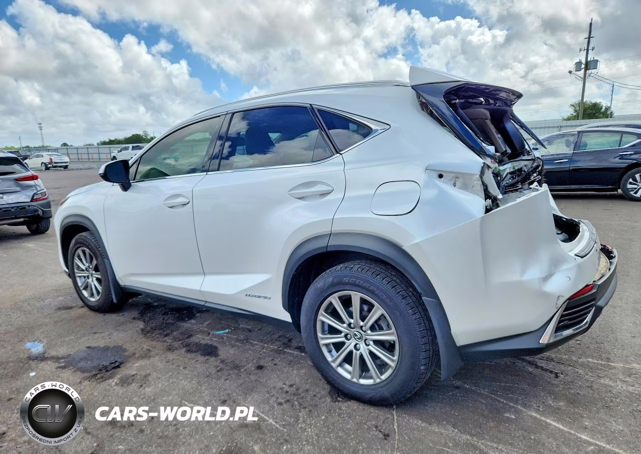 2021 Lexus Nx 300H Base VIN:JTJDJRDZ1M5013437 - 2