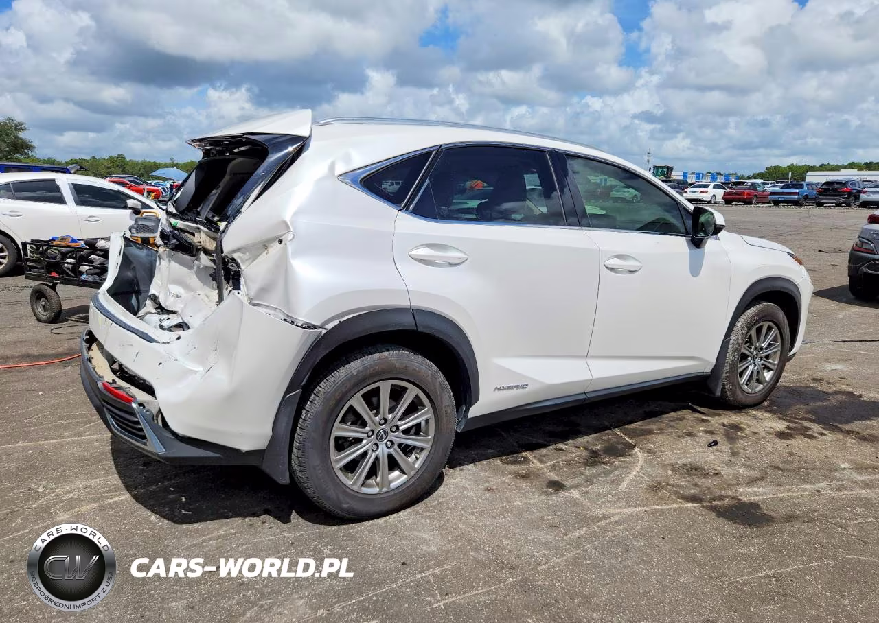 2021 Lexus Nx 300H Base VIN:JTJDJRDZ1M5013437 - 3
