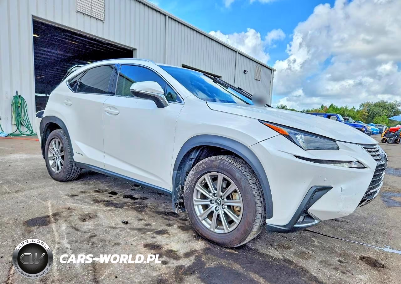2021 Lexus Nx 300H Base VIN:JTJDJRDZ1M5013437 - 4