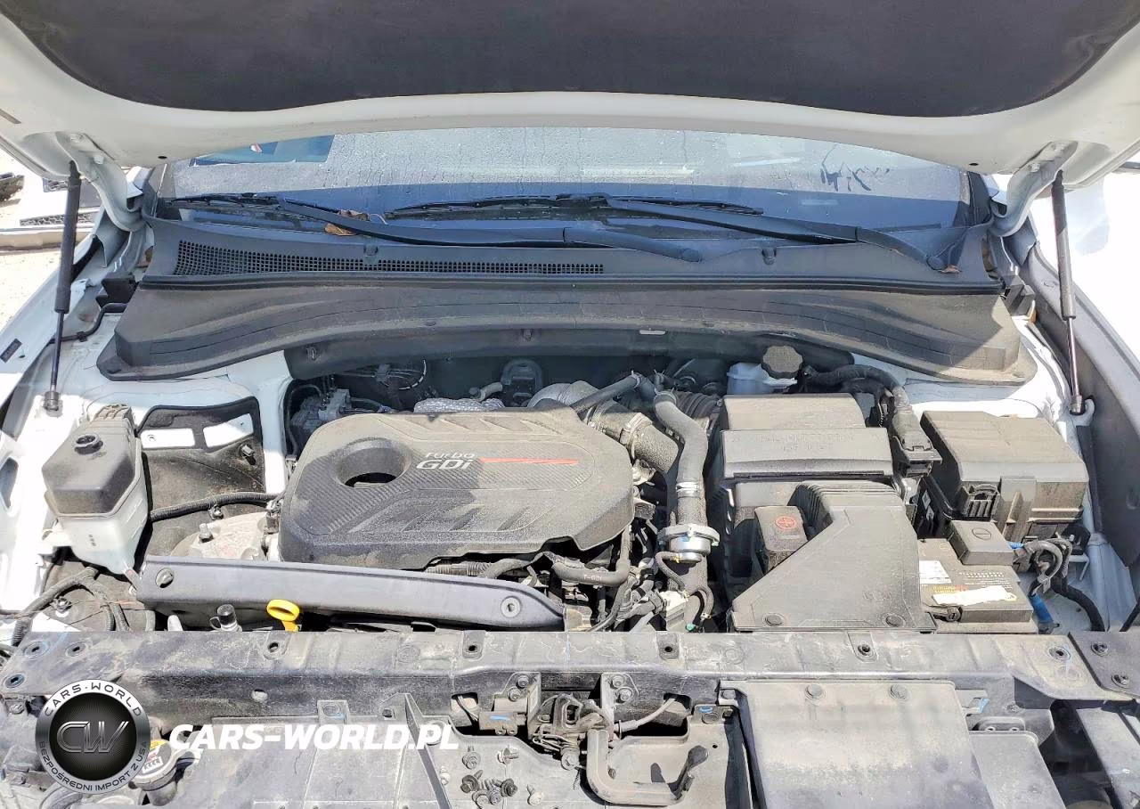 2020 Hyundai Santa Fe Limited 2.0T VIN:5NMS53AA4LH199996 - 12