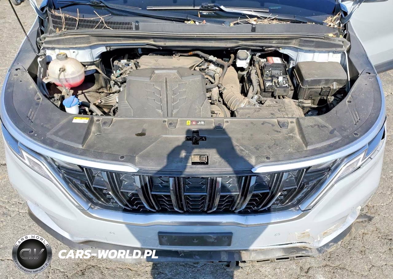2024 Kia Carnival Ex VIN:KNDNC5H34R6449281 - 12