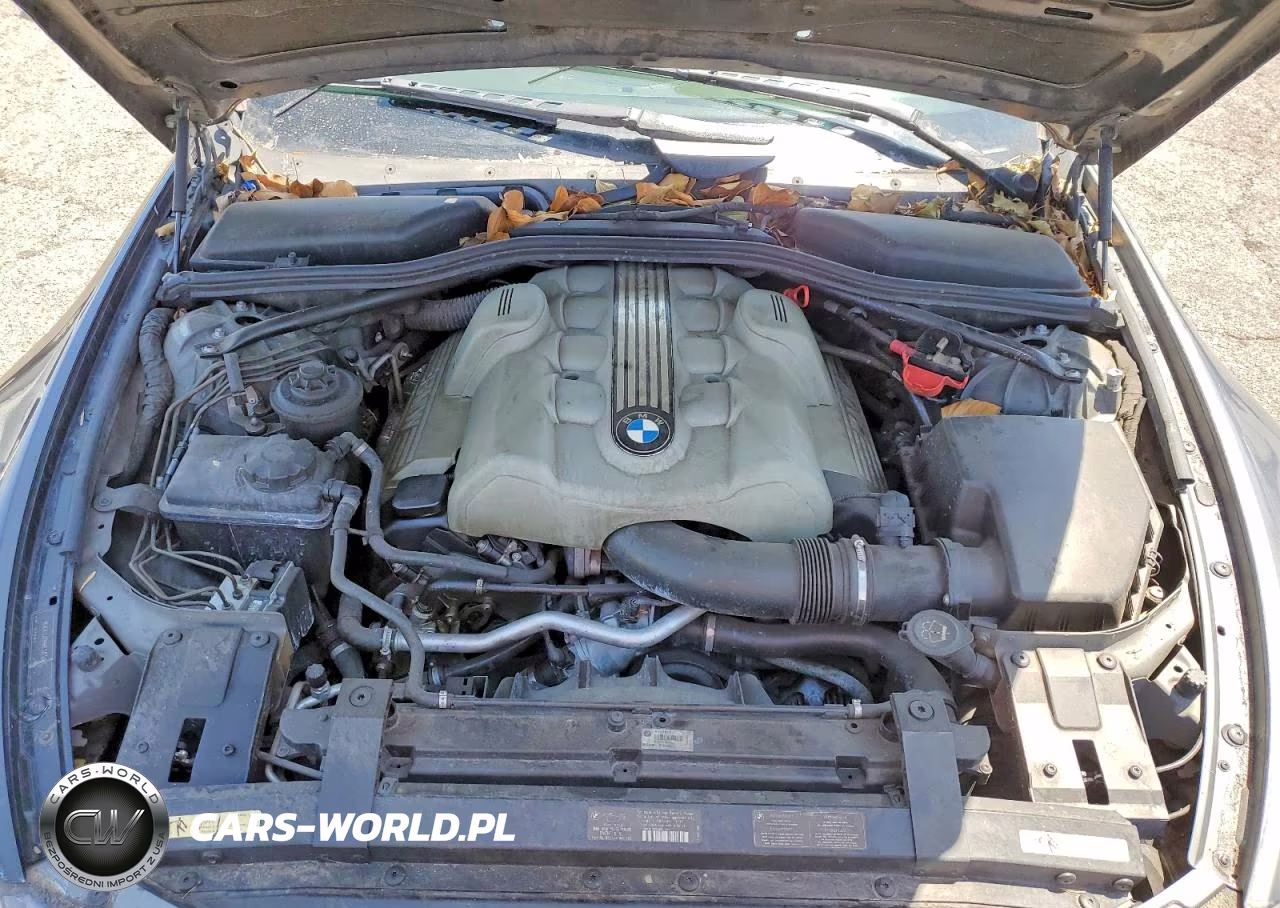2005 BMW 645 Ci Automatic VIN:WBAEK73465B323811 - 11