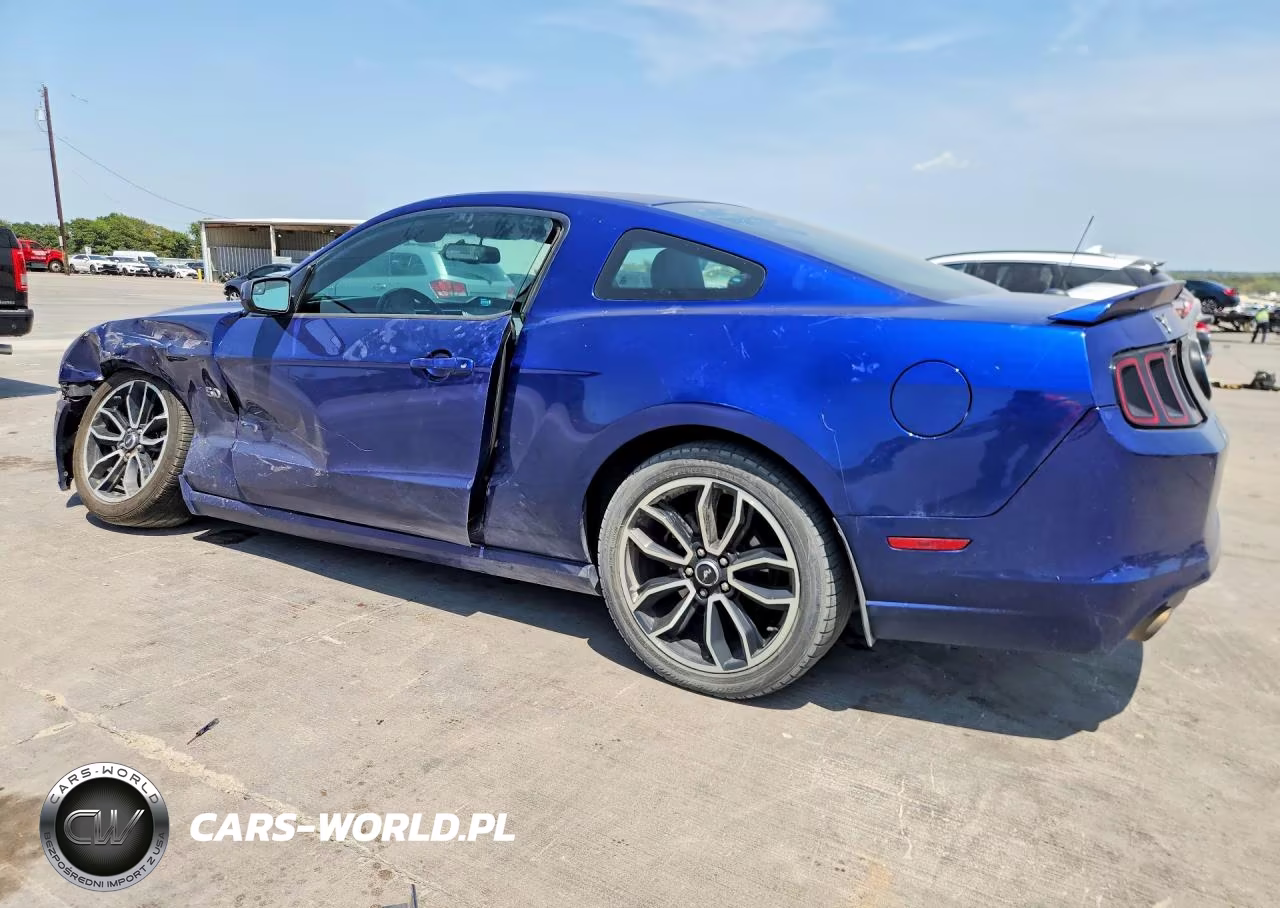 2014 Ford Mustang Gt VIN:1ZVBP8CF5E5291072 - 2