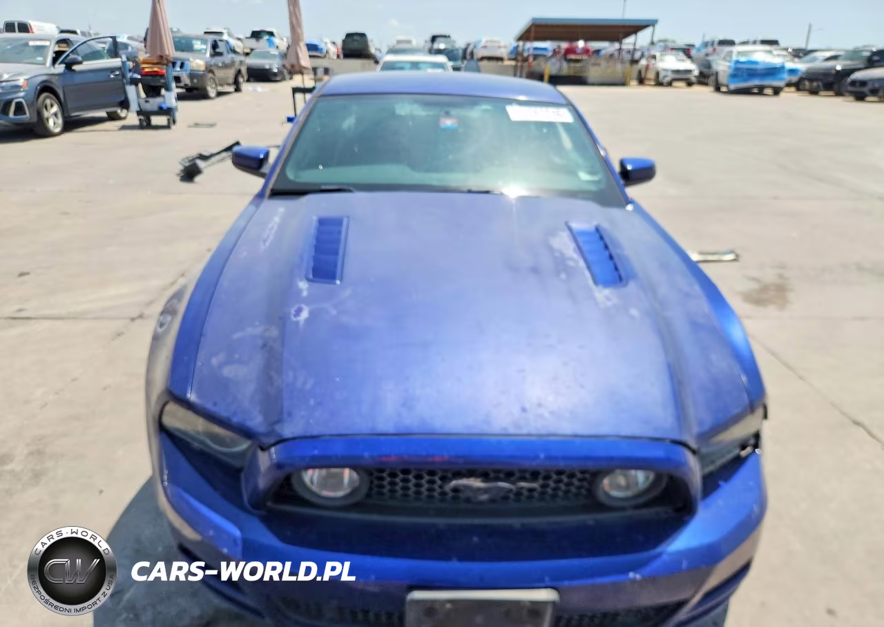 2014 Ford Mustang Gt VIN:1ZVBP8CF5E5291072 - 5