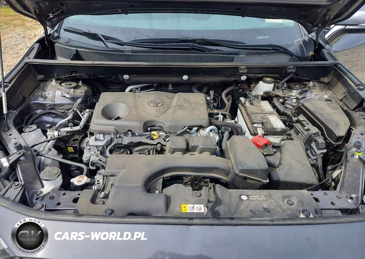 2025 Toyota Rav4 Xle VIN:2T3W1RFV9SC330265 - 11