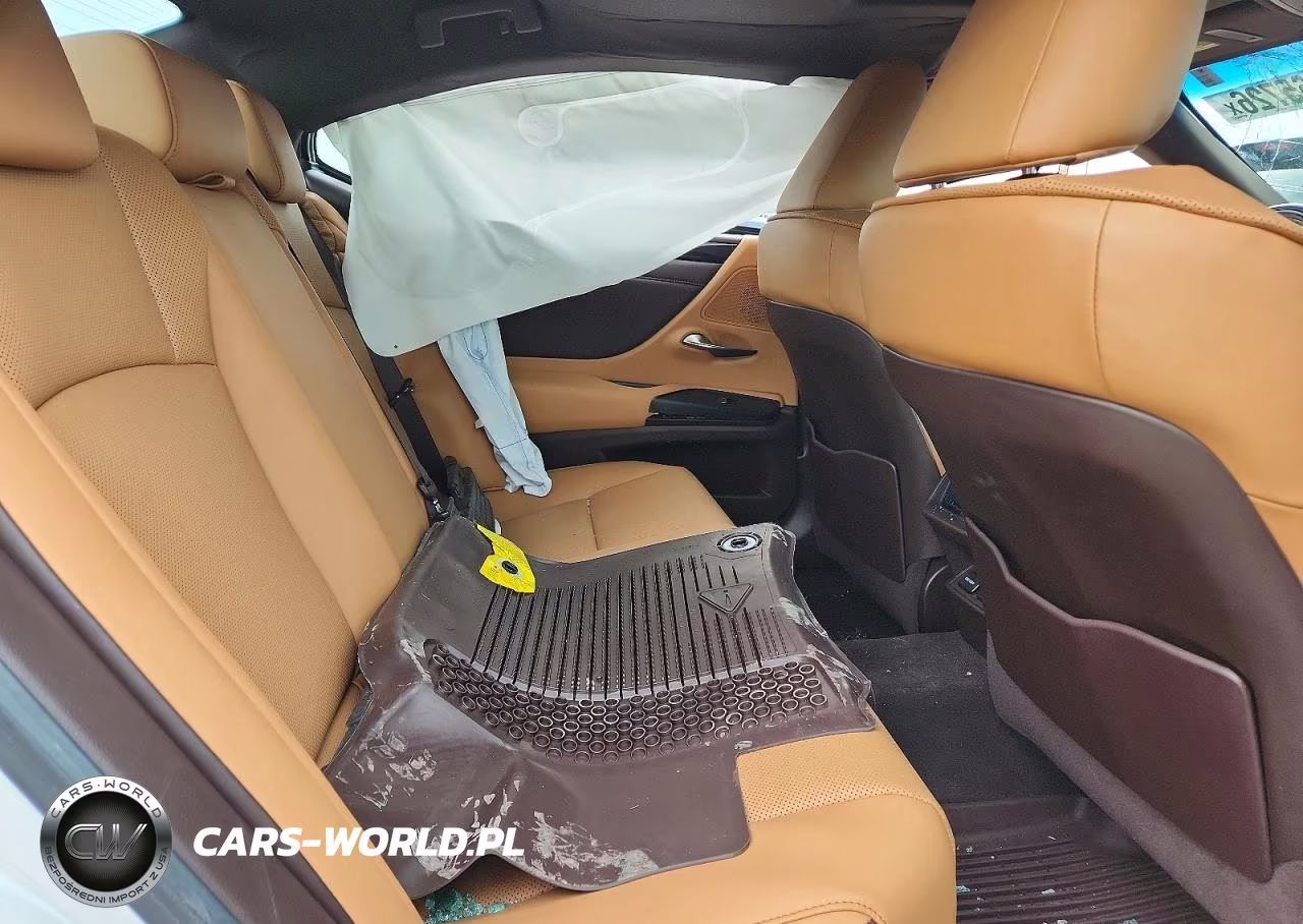 2021 Lexus Es 250 Base VIN:58AD11D1XMU001876 - 10