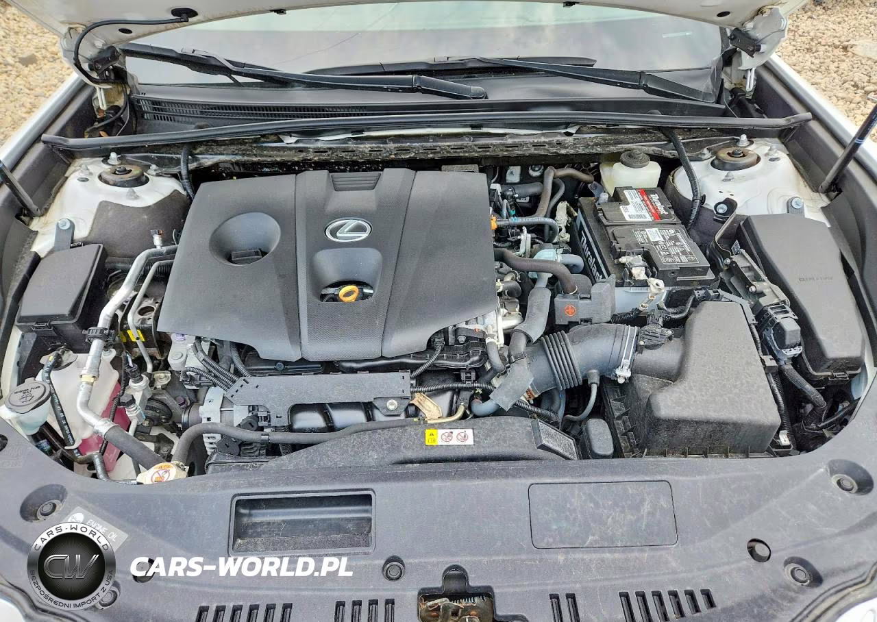 2021 Lexus Es 250 Base VIN:58AD11D1XMU001876 - 11