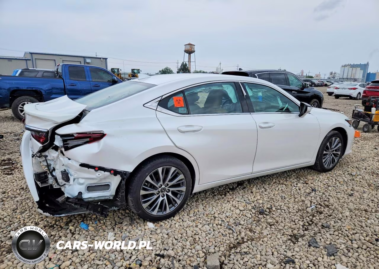 2021 Lexus Es 250 Base VIN:58AD11D1XMU001876 - 3