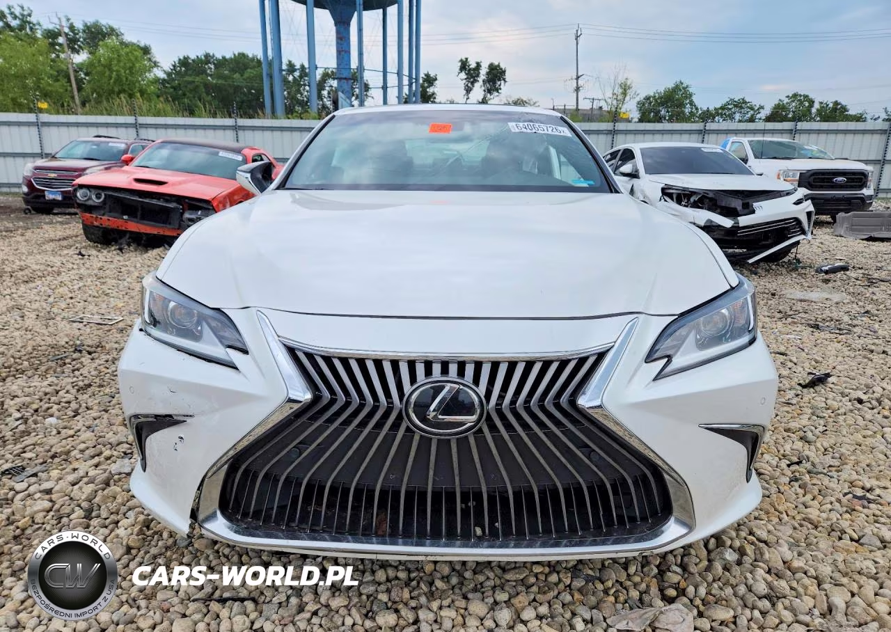 2021 Lexus Es 250 Base VIN:58AD11D1XMU001876 - 5