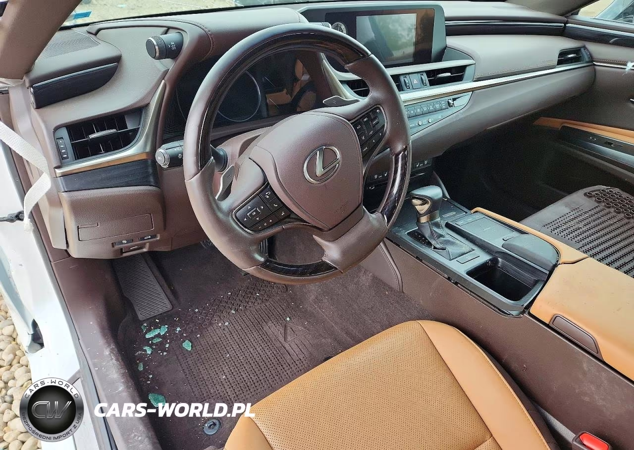 2021 Lexus Es 250 Base VIN:58AD11D1XMU001876 - 8