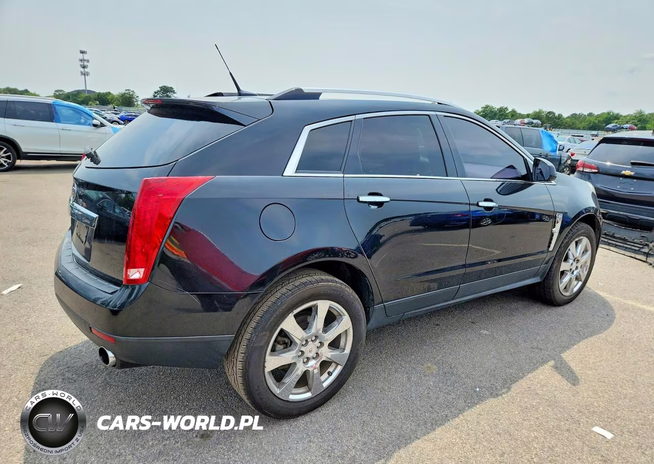 2010 Cadillac Srx Performance Collection VIN:3GYFNEEYXAS516491 - 3