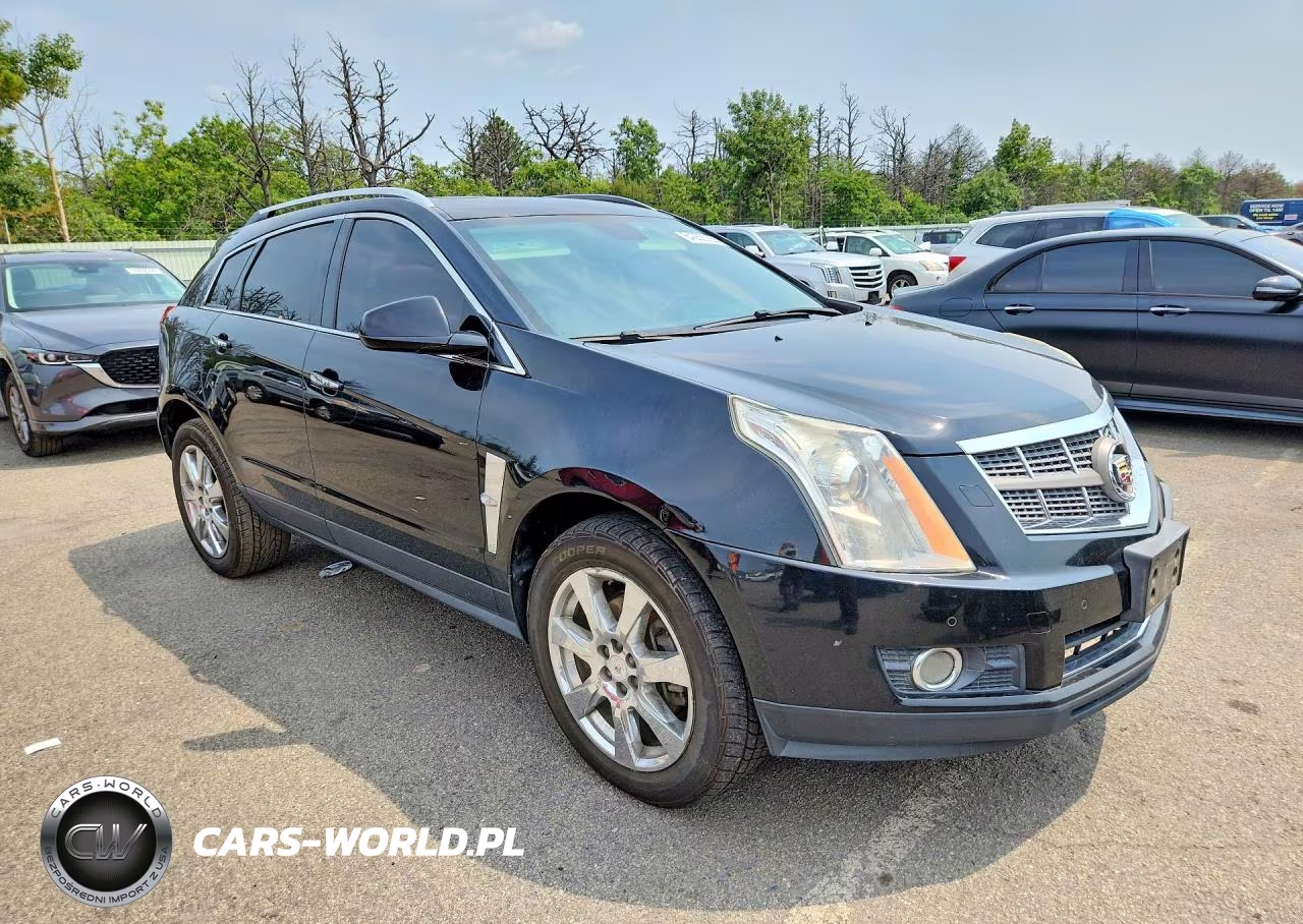 2010 Cadillac Srx Performance Collection VIN:3GYFNEEYXAS516491 - 4