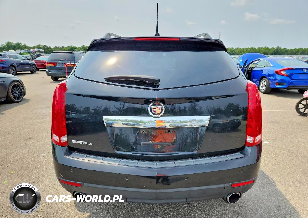 2010 Cadillac Srx Performance Collection VIN:3GYFNEEYXAS516491 - 6