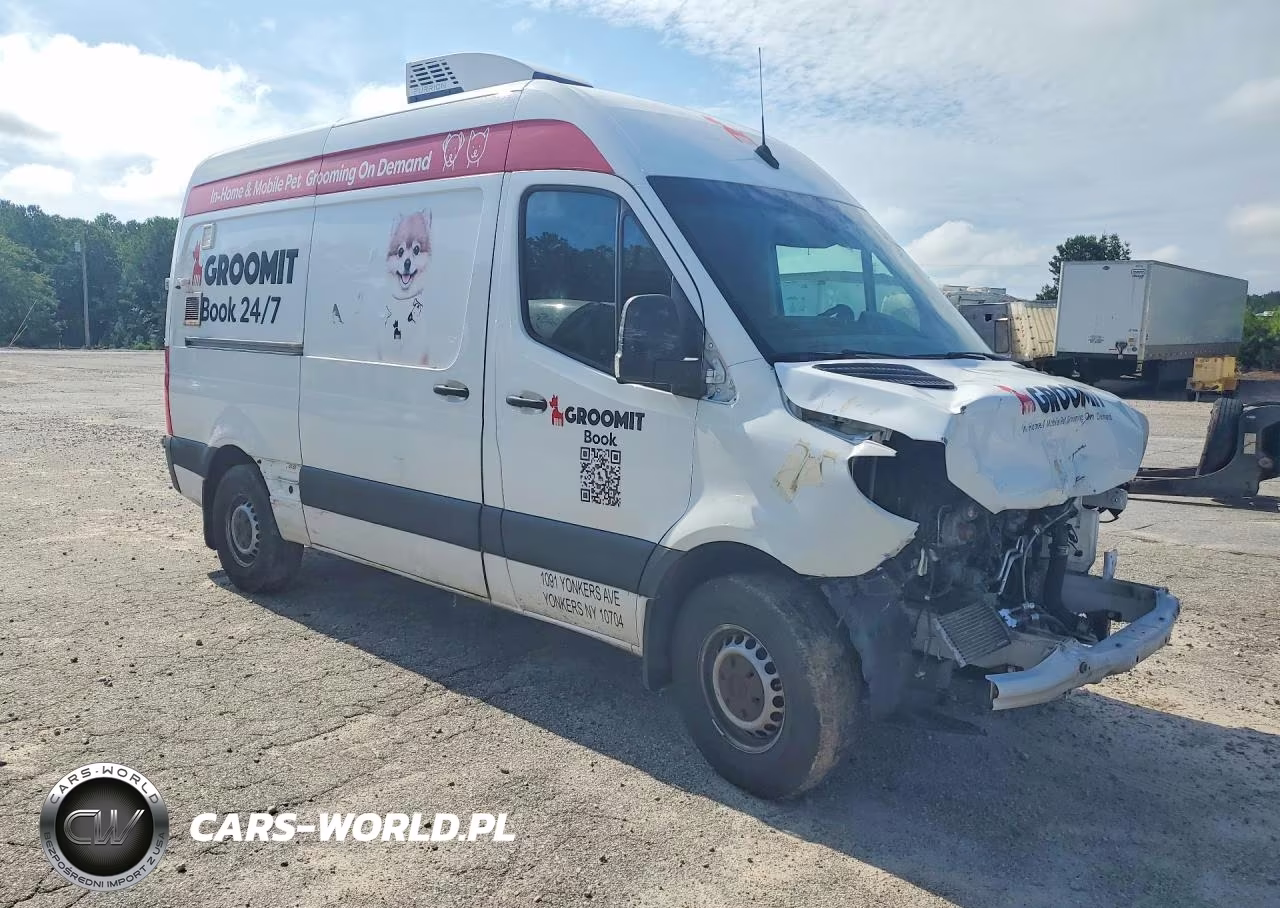 2021 Mercedes Benz Sprinter Refrigerated Deliveryvan VIN:W1Y70BGY7MT073324 - 4