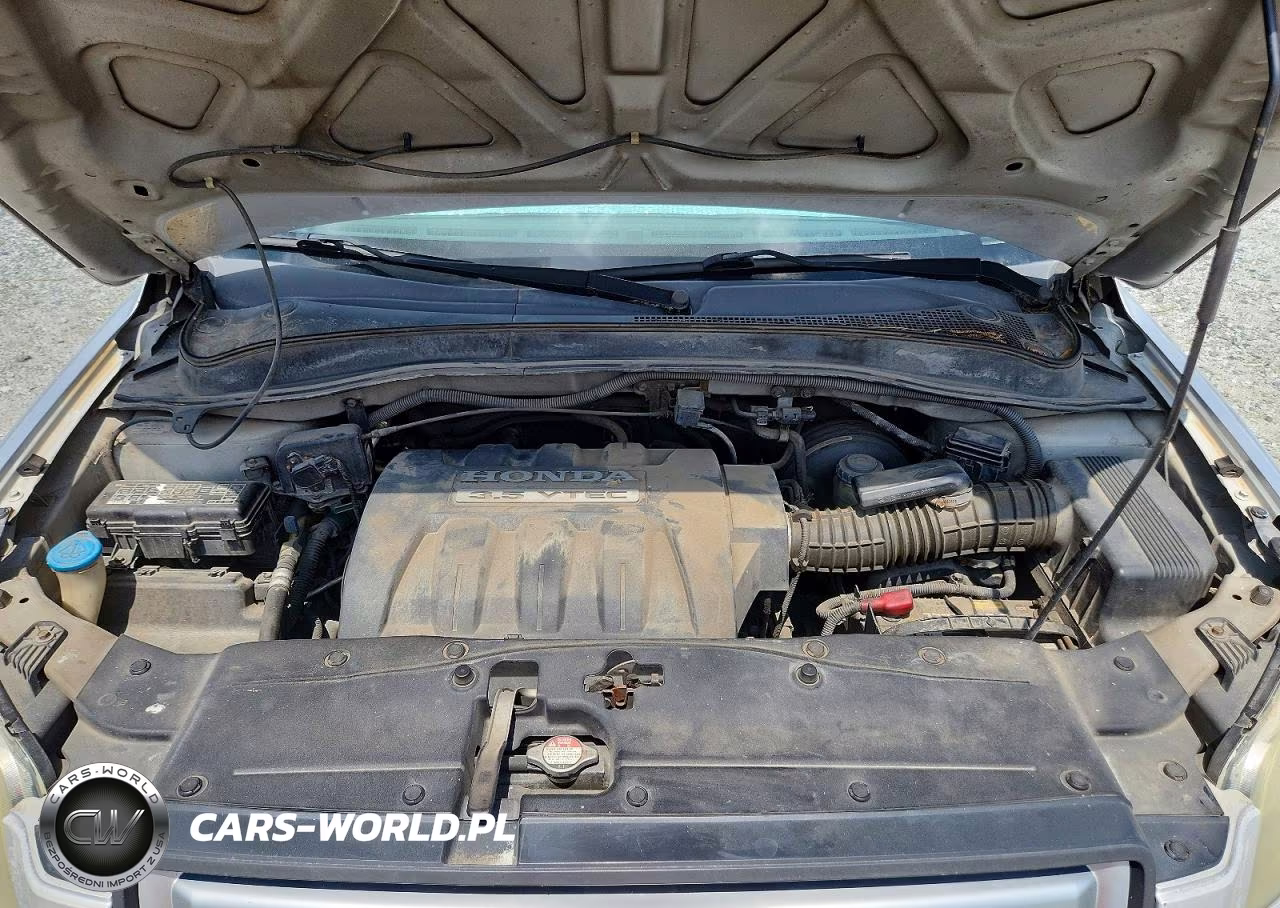 2006 Honda Pilot Ex VIN:5FNYF18406B001495 - 12