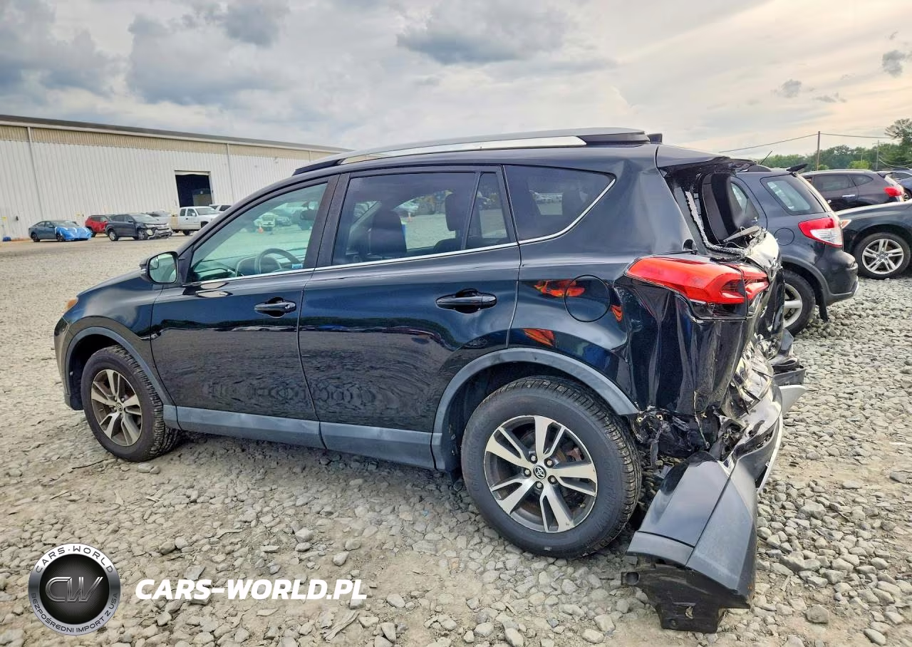 2016 Toyota Rav4 Xle VIN:2T3RFREV6GW429700 - 2