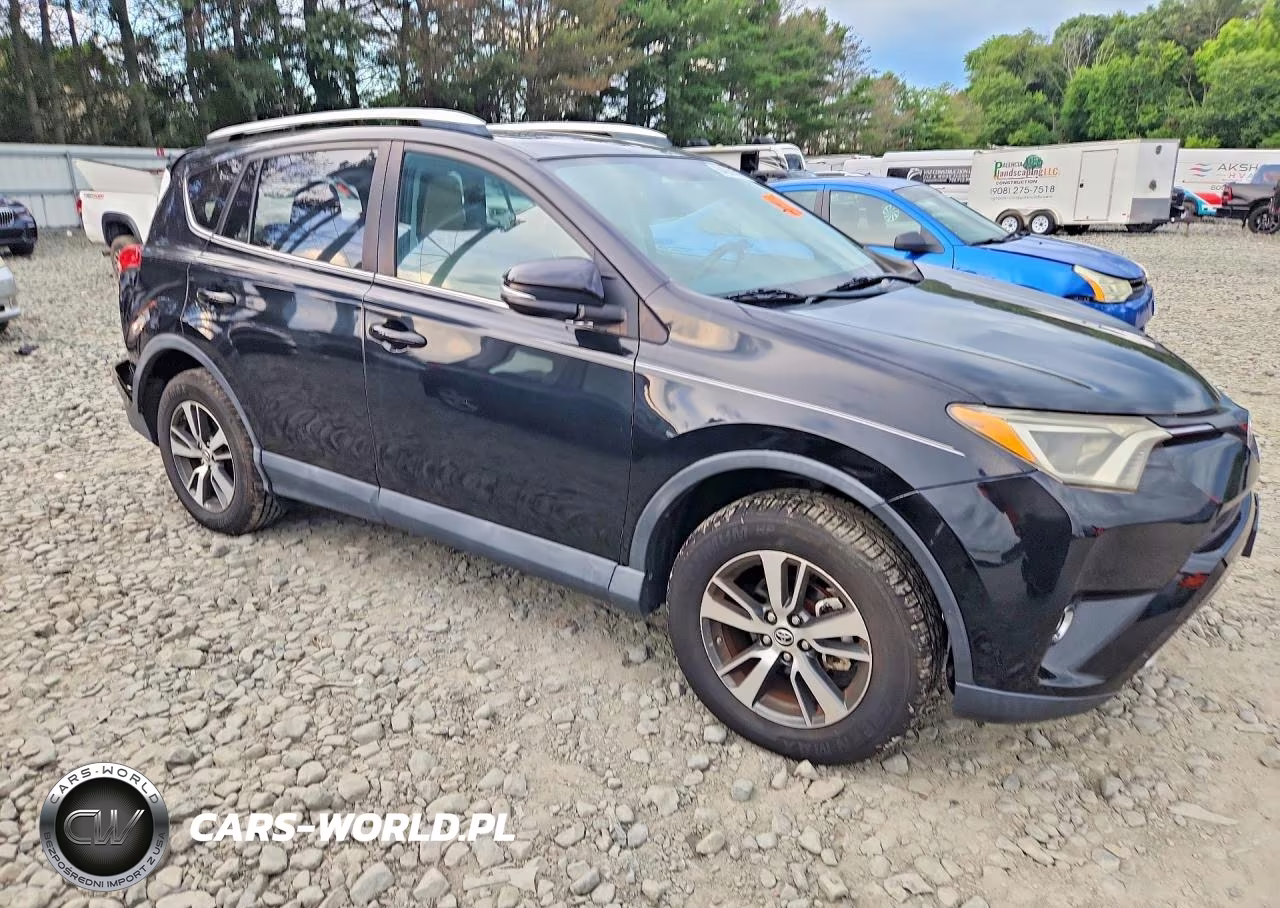 2016 Toyota Rav4 Xle VIN:2T3RFREV6GW429700 - 4