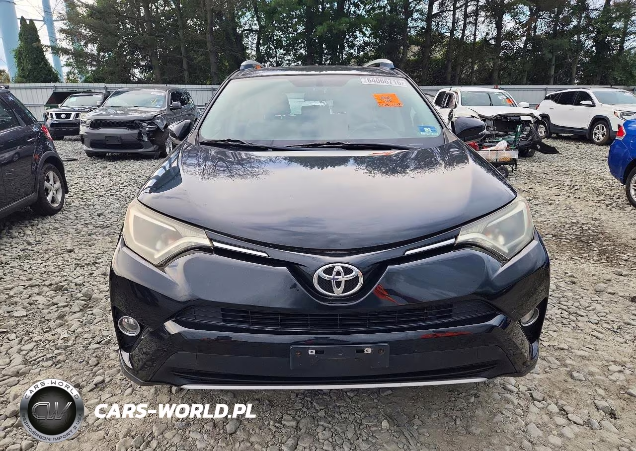 2016 Toyota Rav4 Xle VIN:2T3RFREV6GW429700 - 5