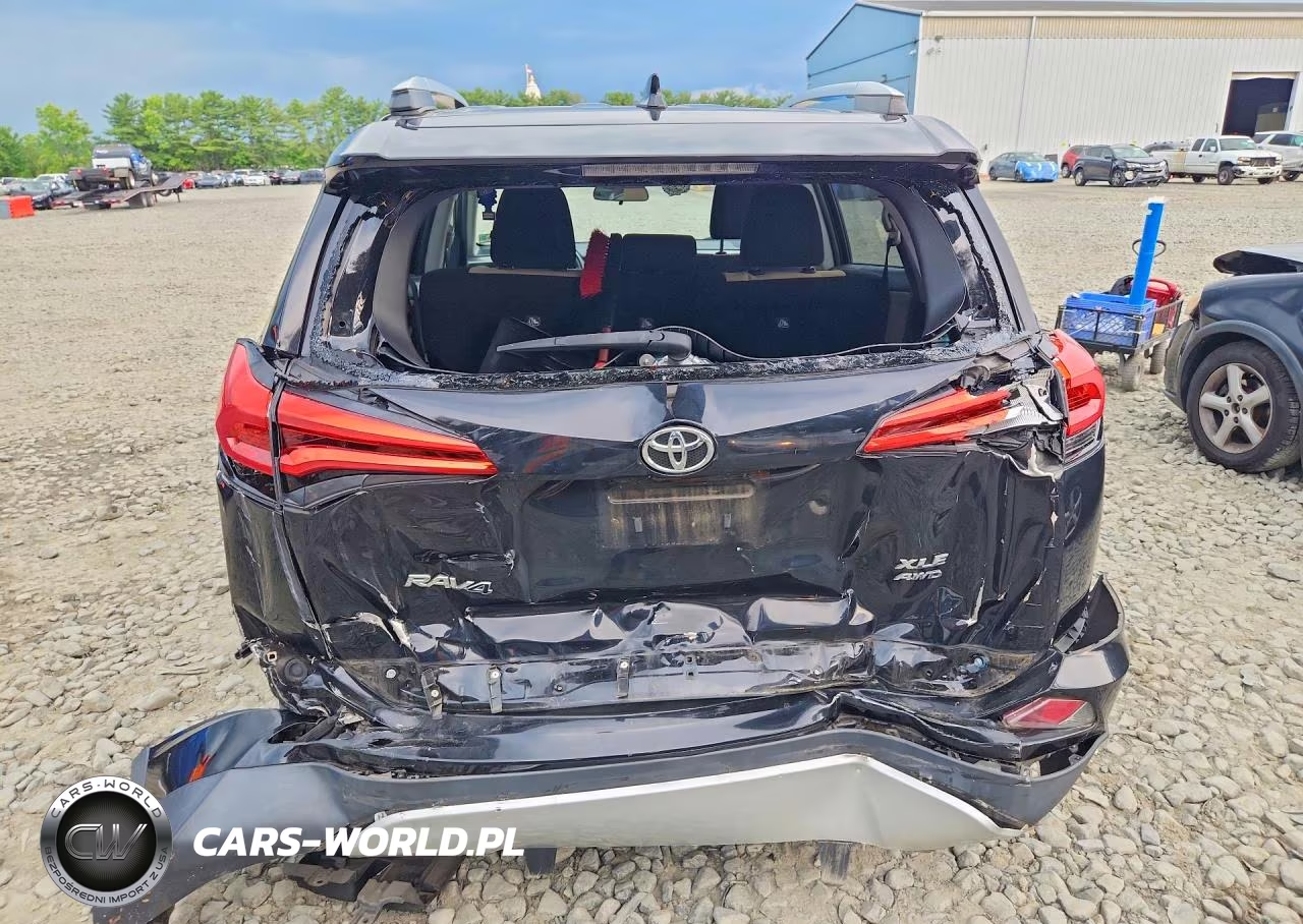 2016 Toyota Rav4 Xle VIN:2T3RFREV6GW429700 - 6