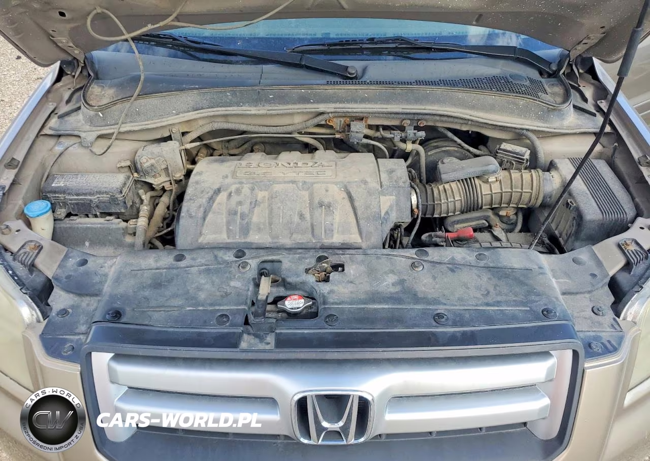 2007 Honda Pilot Exl VIN:5FNYF18547B010064 - 12