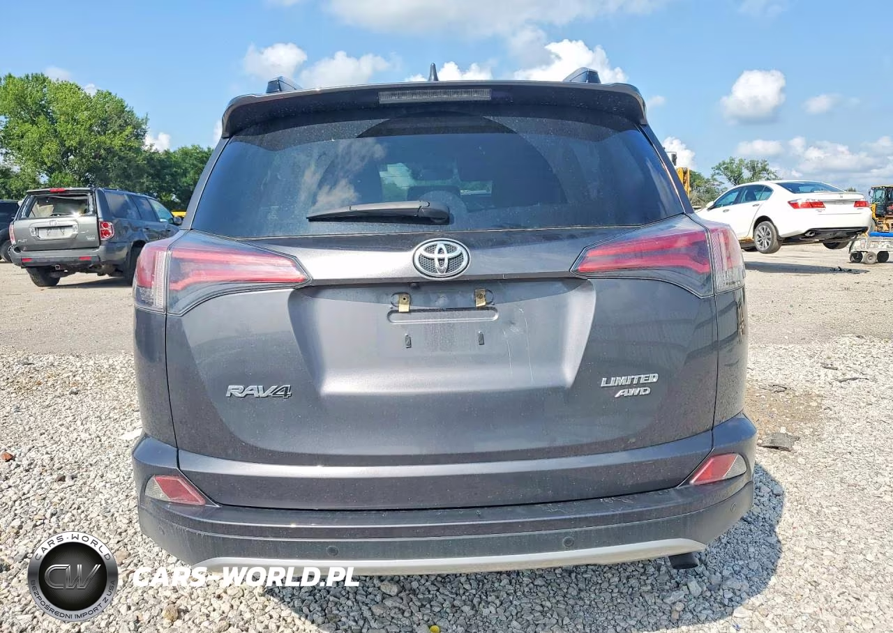 2017 Toyota Rav4 Limited VIN:JTMDFREV1HJ703119 - 6