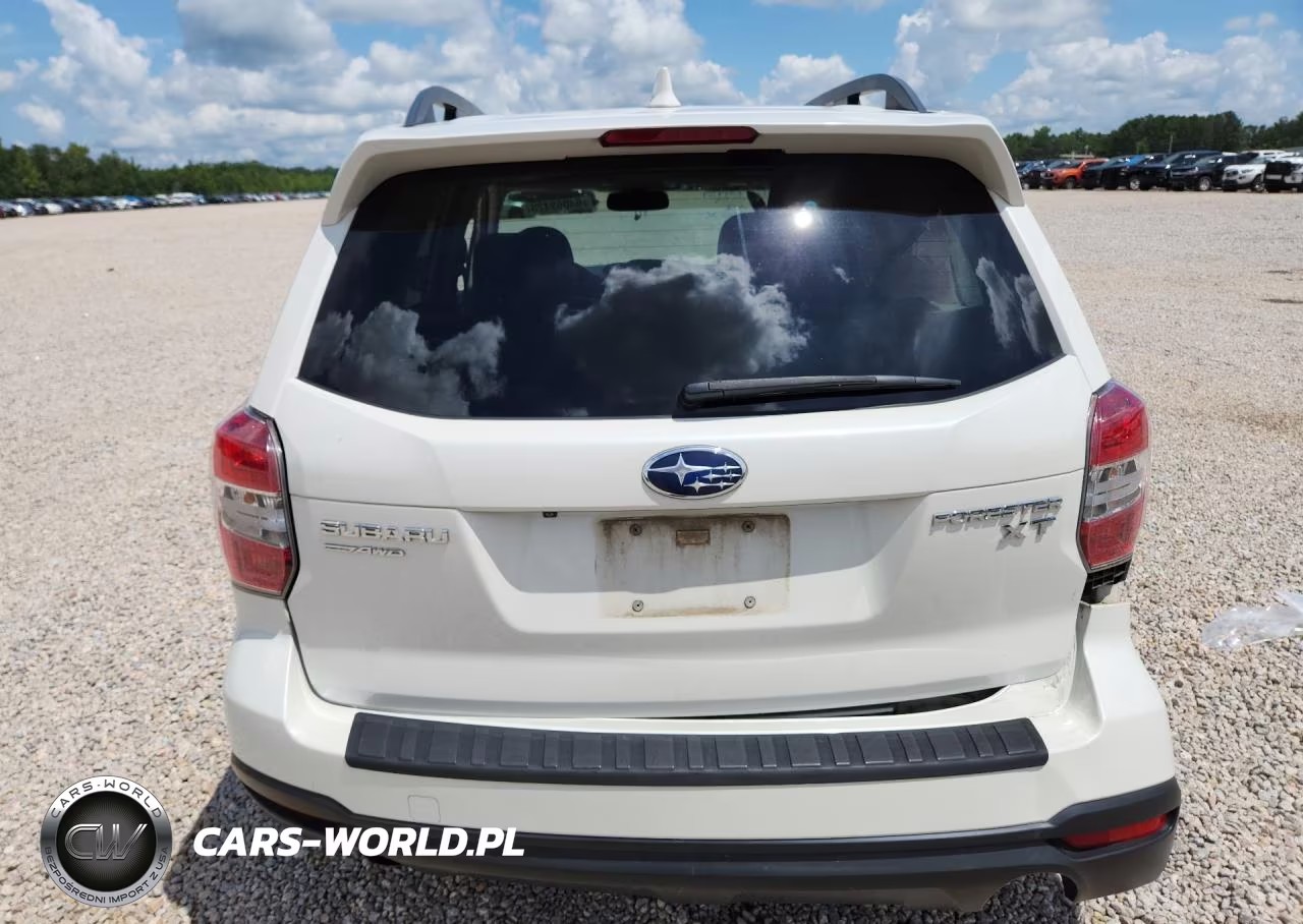 2016 Subaru Forester 2.0Xt Premium VIN:JF2SJGDC0GH434385 - 6