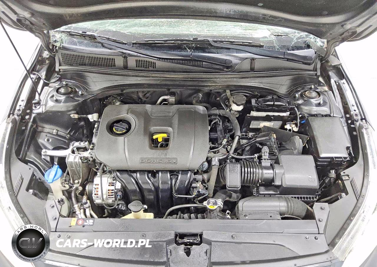 2021 Kia Forte Fe VIN:3KPF24AD5ME320019 - 11