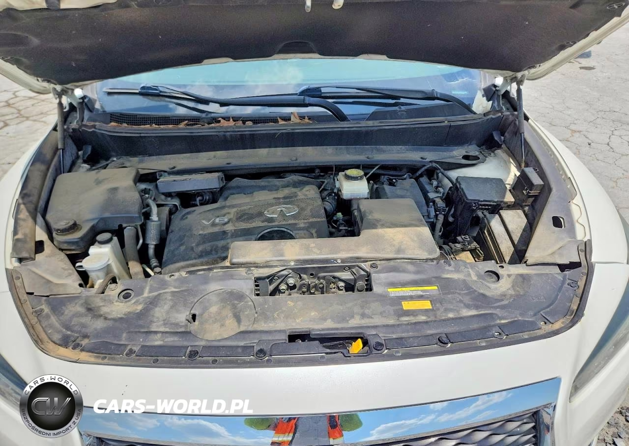 2019 Infiniti Qx60 Luxe VIN:5N1DL0MN1KC513219 - 12