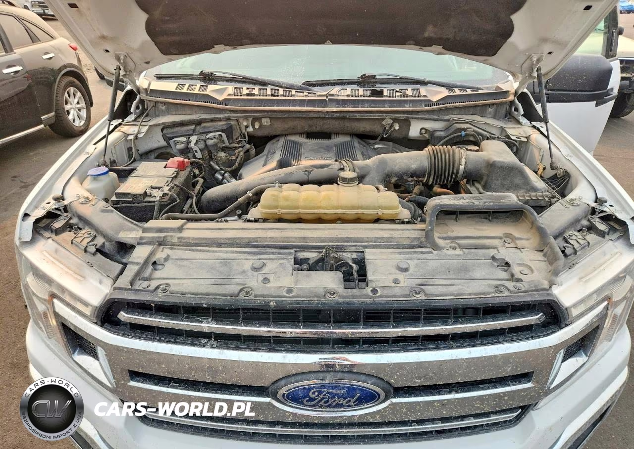 2020 Ford F150 Supercrew VIN:1FTEW1E45LKD11924 - 11